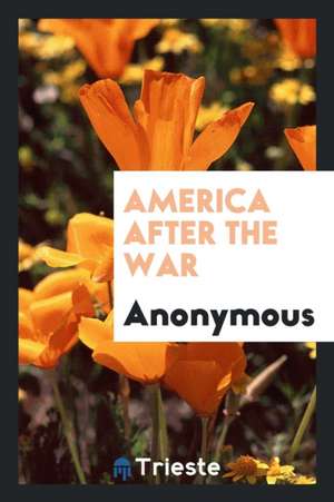 America After the War de Anonymous