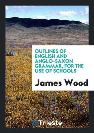 Outlines of English and Anglo-Saxon Grammar, for the Use of Schools de James Wood