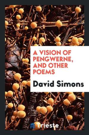 A Vision of Pengwerne, and Other Poems de David Simons