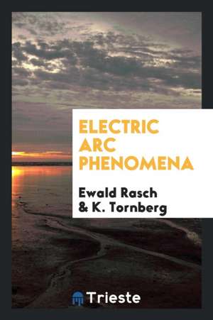 Electric ARC Phenomena de Ewald Rasch