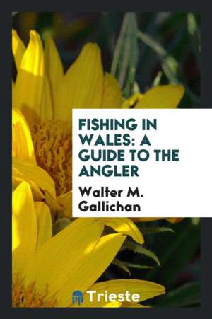 Fishing in Wales: A Guide to the Angler de Walter M. Gallichan