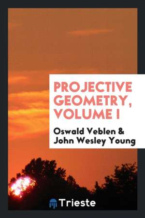 Projective Geometry de Oswald Veblen