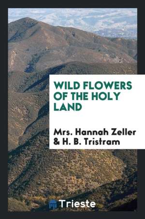 Wild Flowers of the Holy Land de Mrs Hannah Zeller