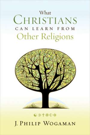 What Christians Can Learn from Other Religions de J. Philip Wogaman