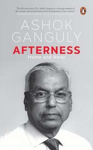 Afterness de Ashok Ganguly