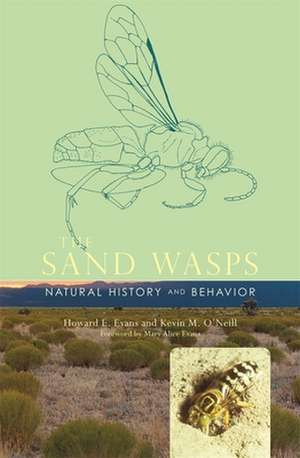 The Sand Wasps – Natural History and Behavior de Howard E. Evans