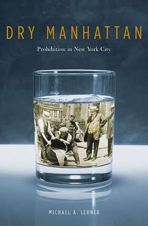 Dry Manhattan de Michael A Lerner