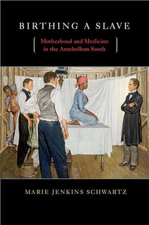 Birthing a Slave – Motherhood and Medicine in the Antebellum South de Marie Jenkins Schwartz