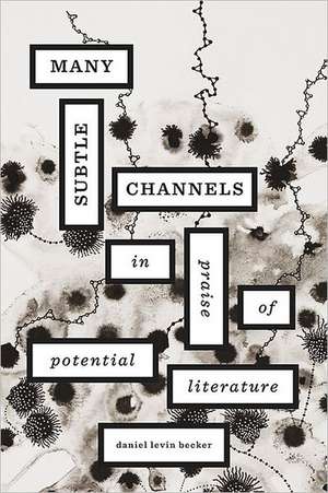 Many Subtle Channels – In Praise of Potential Literature de Daniel Levin Becker