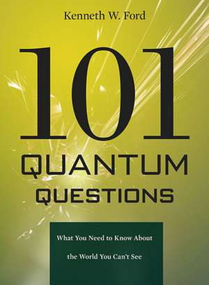 101 Quantum Questions – What You Need to Know About the World You Can`t See de Kenneth W. Ford