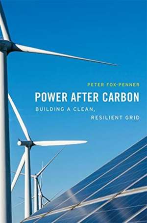 Power after Carbon – Building a Clean, Resilient Grid de Peter Fox–penner