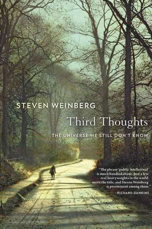 Third Thoughts – The Universe We Still Don′t Know de Steven Weinberg