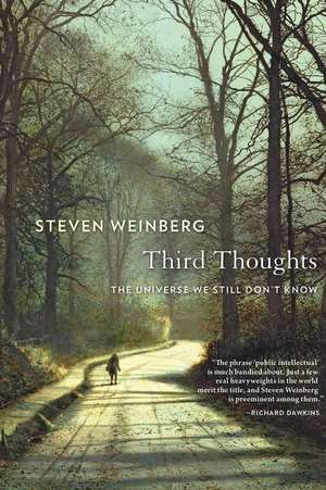 Third Thoughts de Steven Weinberg