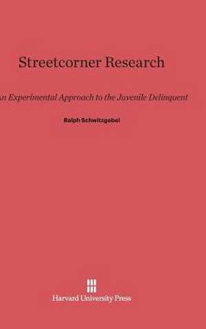 Streetcorner Research de Ralph Schwitzgebel