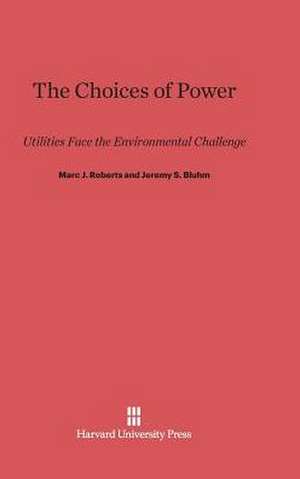 The Choices of Power de Marc J. Roberts