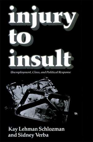 Injury to Insult – Unemployment Class & Political Response de Kay Lehman Schlozman