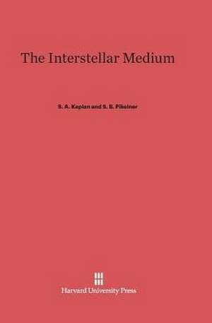 The Interstellar Medium de S. A. Kaplan