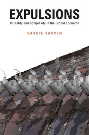 Expulsions – Brutality and Complexity in the Global Economy. de Saskia Sassen