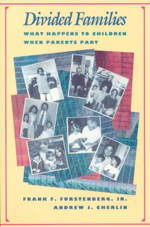 Divided Families – What Happens to Children When Parents Part (Paper) de Frank F. Furstenberg