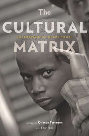 The Cultural Matrix – Understanding Black Youth de Orlando Patterson