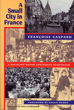 A Small City in France (Paper) de Francoise Gaspard