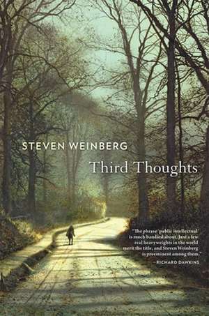 Third Thoughts de Steven Weinberg