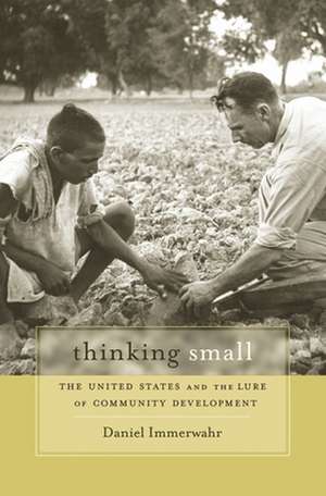 Thinking Small – The United States and the Lure of Community Development de Daniel Immerwahr