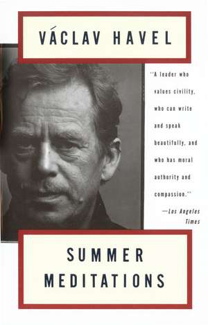 Summer Meditations de Vaclav Havel