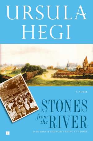 Stones from the River de Ursula Hegi