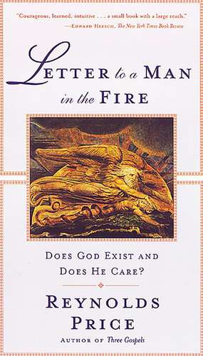 Letter To A Man In The Fire: Does God Exist And Does He Care de Reynolds Price