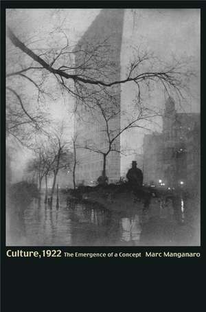 Culture, 1922 – The Emergence of a Concept de Marc Manganaro