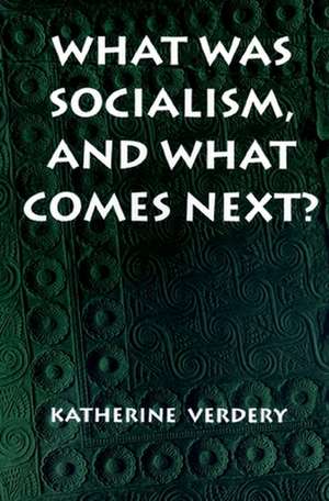 What Was Socialism, and What Comes Next? de Katherine Verdery