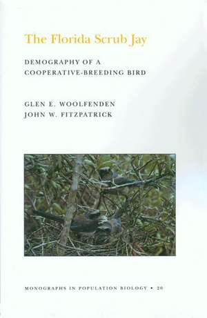 The Florida Scrub Jay (MPB–20), Volume 20 – Demography of a Cooperative–Breeding Bird. (MPB–20) de Glen Everett Woolfenden