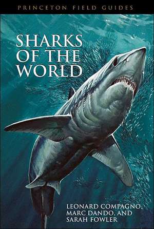 Sharks of the World: An Ethnography of Global Connection