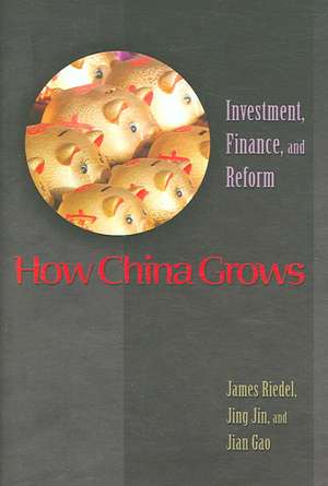 How China Grows – Investment, Finance, and Reform de James Riedel