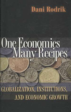 One Economics, Many Recipes – Globalization, Institutions, and Economic Growth de Dani Rodrik