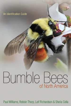 Bumble Bees of North America – An Identification Guide de Paul H. Williams