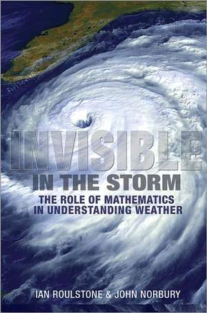 Invisible in the Storm – The Role of Mathematics in Understanding Weather de Ian Roulstone