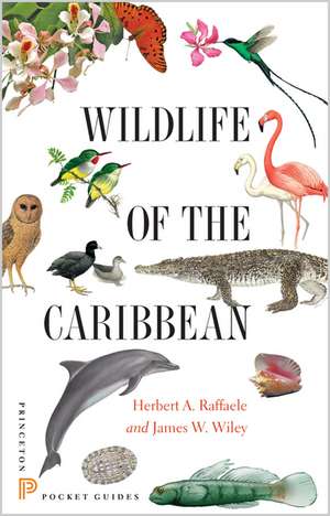 Wildlife of the Caribbean de Herbert A. Raffaele