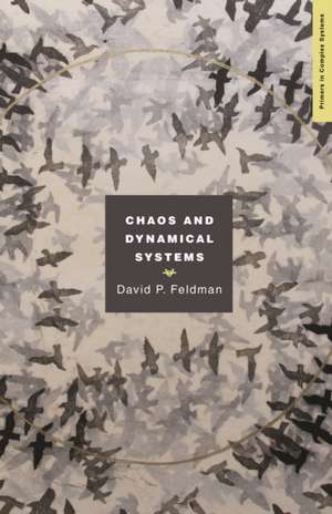 Chaos and Dynamical Systems de David Feldman