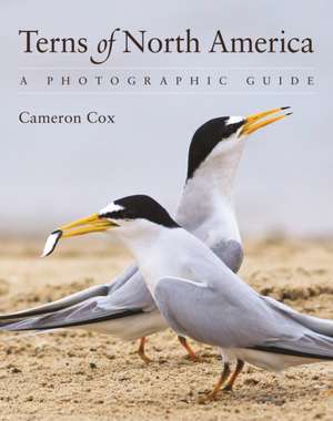 Terns of North America – A Photographic Guide de Cameron Cox