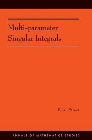 Multi–Parameter Singular Integrals, Volume 1 (AM 189) de Brian Street