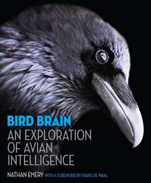 Bird Brain – An Exploration of Avian Intelligence de Nathan Emery