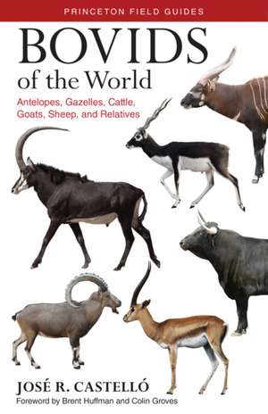 Bovids of the World – Antelopes, Gazelles, Cattle, Goats, Sheep, and Relatives de José R. Castelló