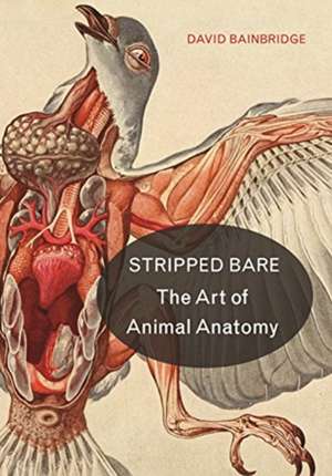 Stripped Bare – The Art of Animal Anatomy de David Bainbridge