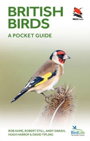 British Birds – A Pocket Guide de Rob Hume