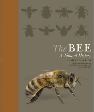 The Bee – A Natural History de Noah Wilson–rich