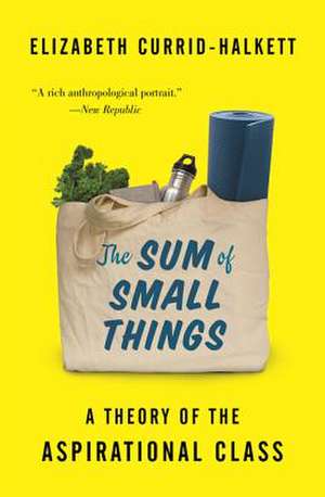 The Sum of Small Things – A Theory of the Aspirational Class de Elizabeth Currid–halkett