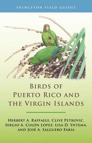 Birds of Puerto Rico and the Virgin Islands – Fully Revised and Updated Third Edition de Herbert A. Raffaele