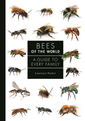 Bees of the World – A Guide to Every Family de Laurence Packer